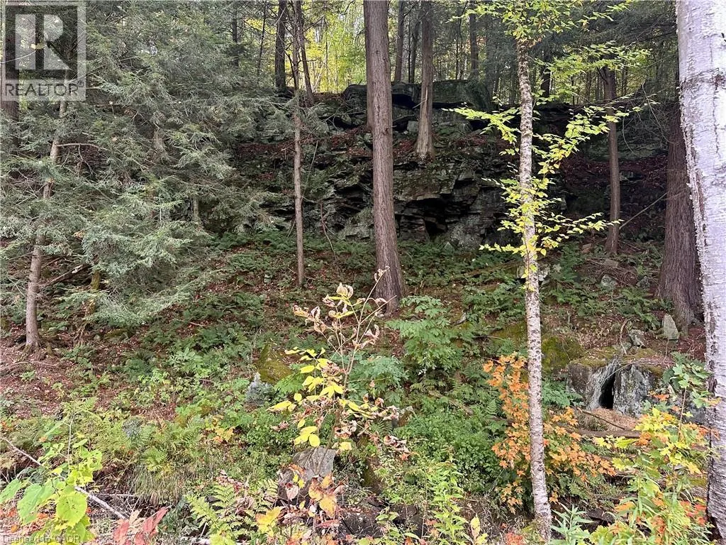 1150 LIMBERLOST Road