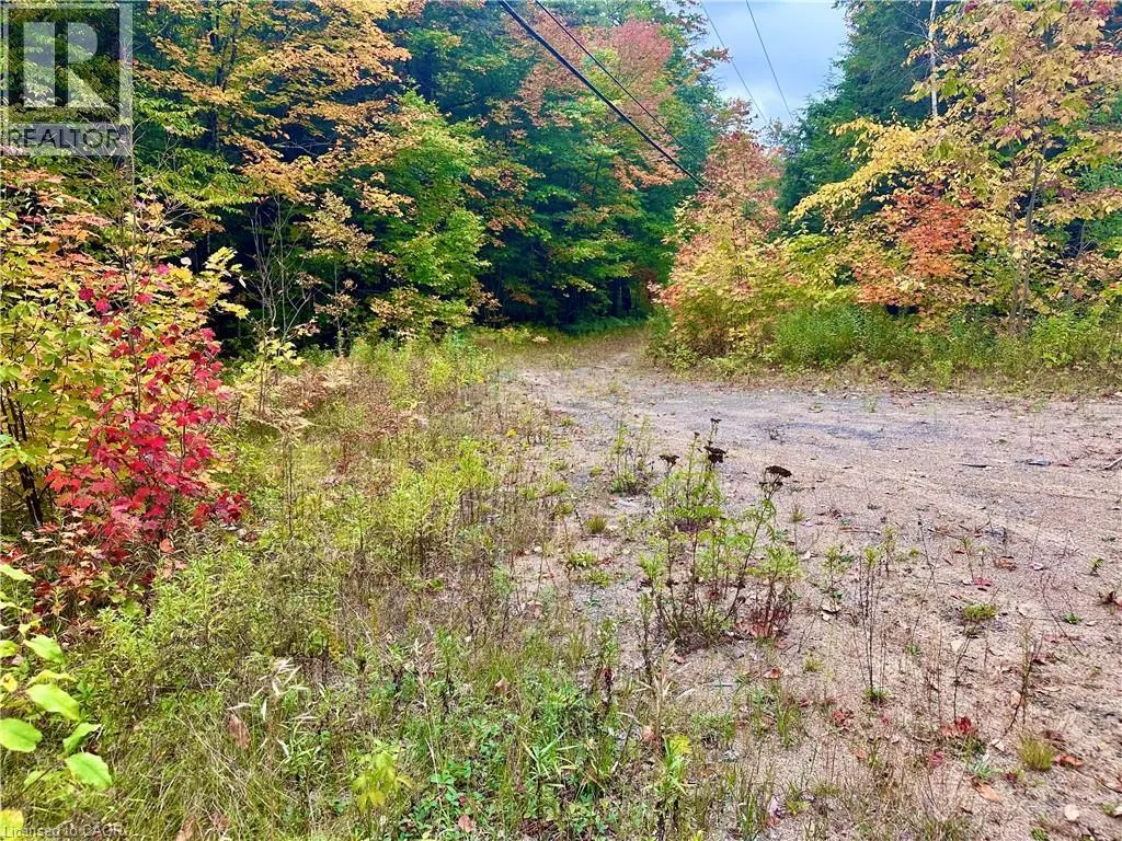 1150 LIMBERLOST Road