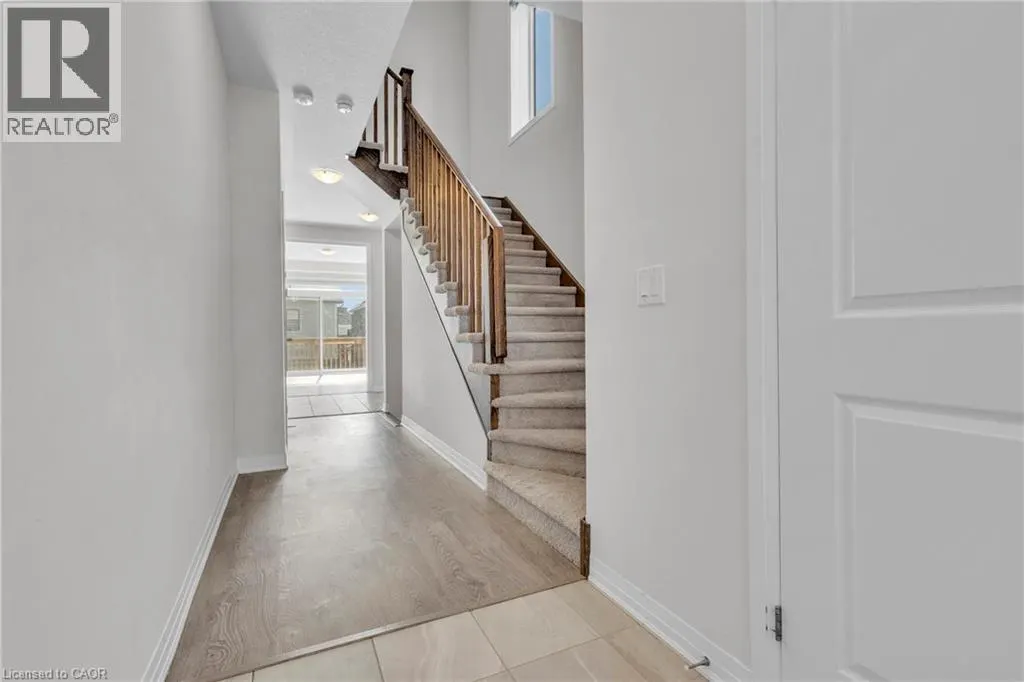 425 ROBERT WOOLNER STREET Street