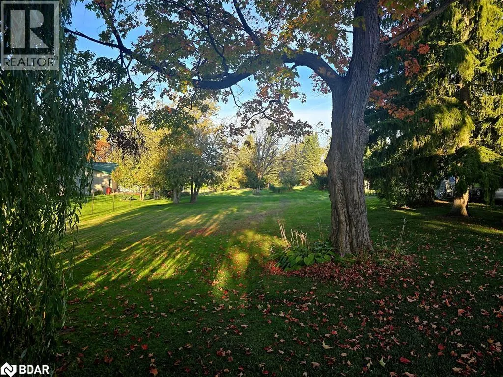 0 BUTTERNUT Drive
