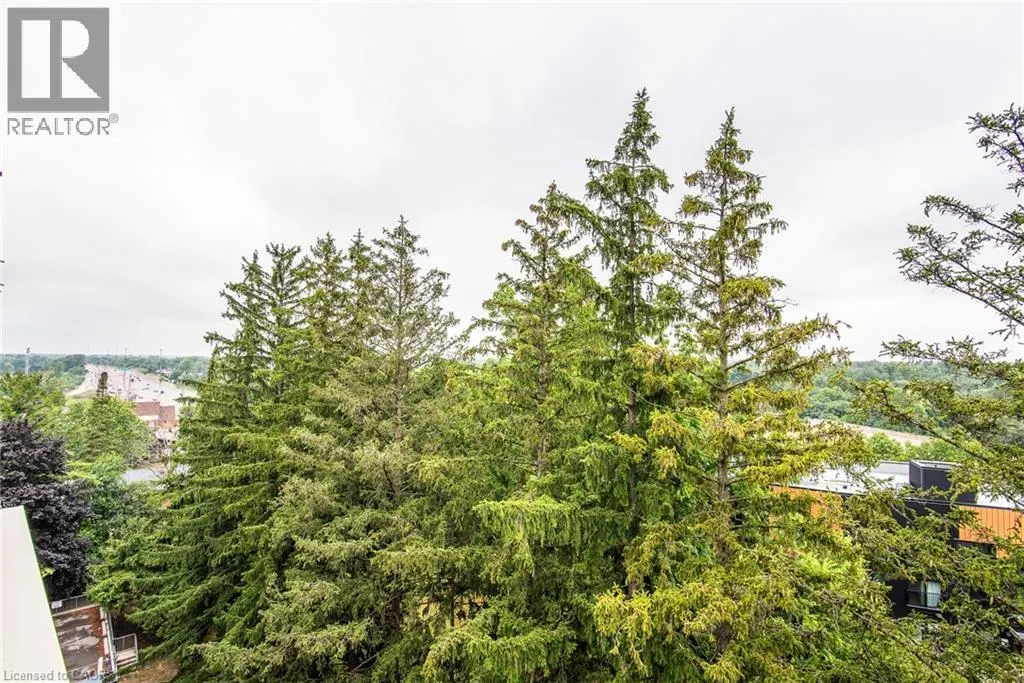 260 SHELDON Avenue N Unit# 807, #807