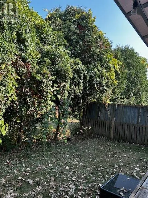 1 JOHN Avenue