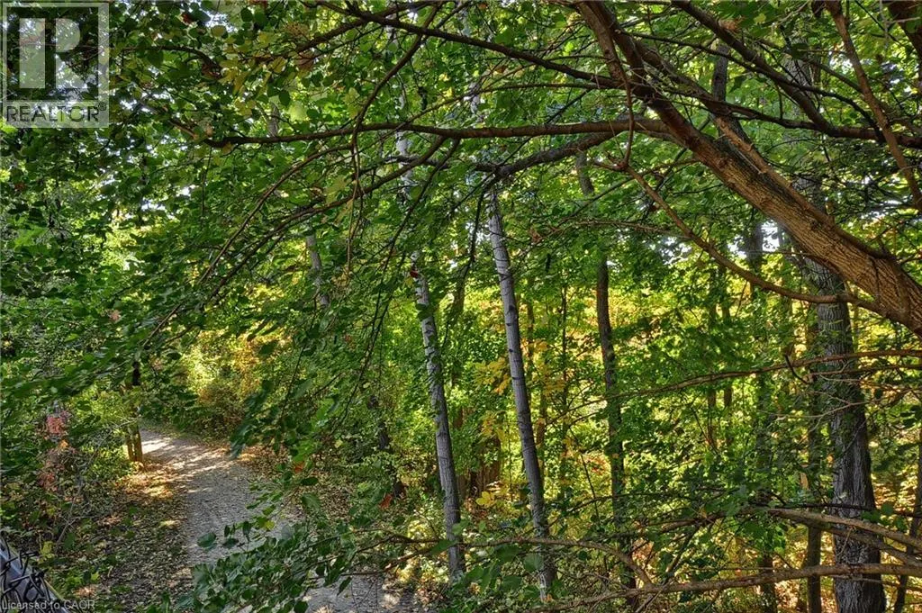 313 PINE VALLEY Drive