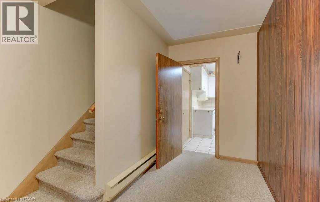 155 ELGIN Crescent