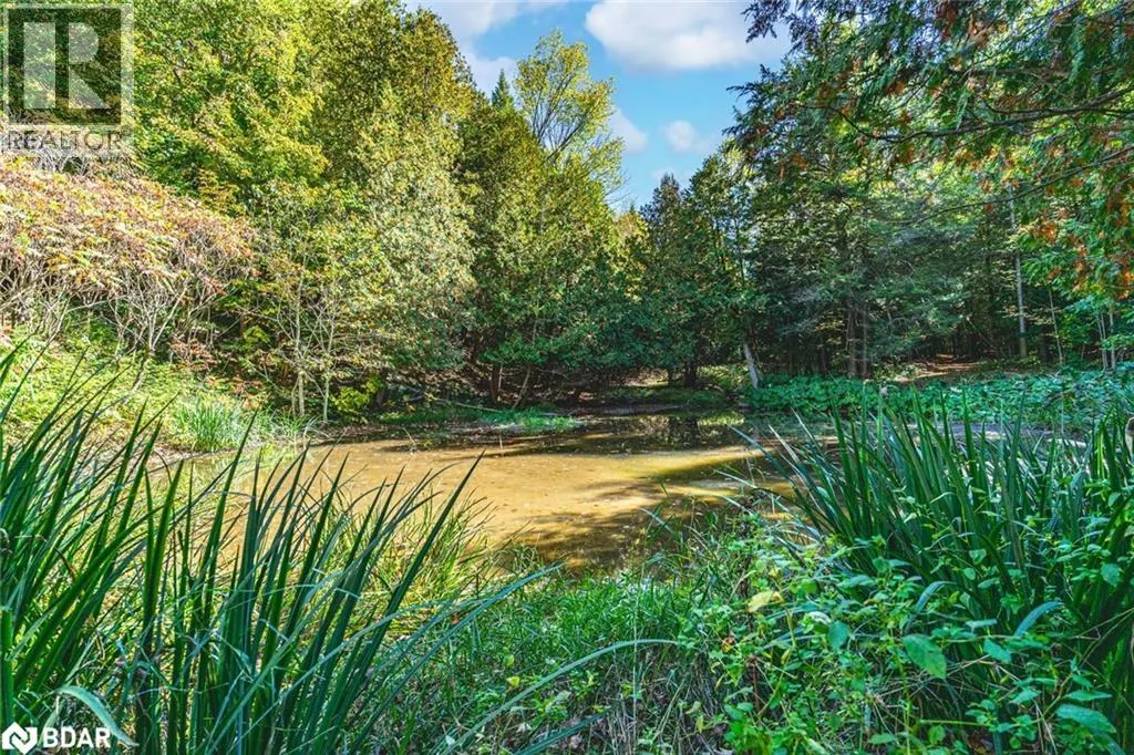 8275 COUNTY RD 9