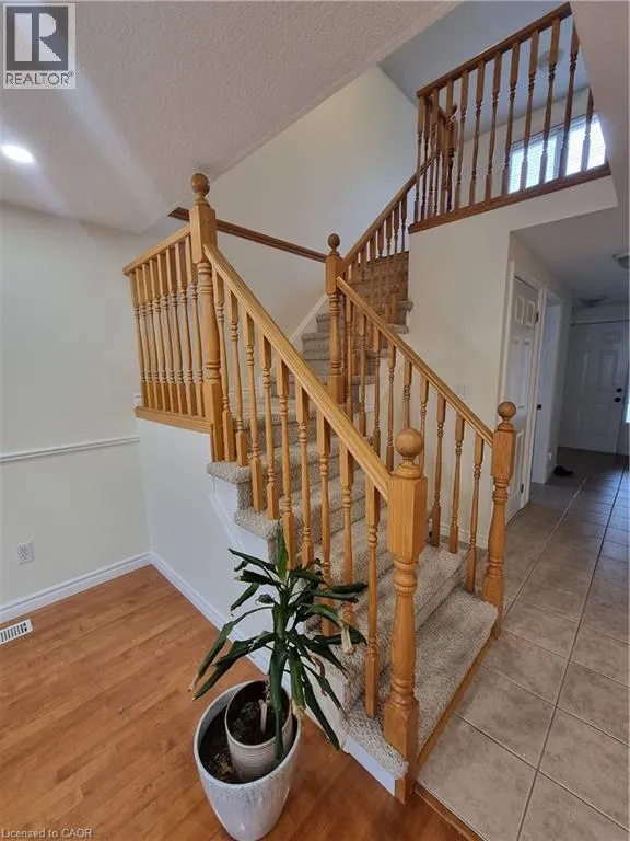 82 COTTON GRASS Street