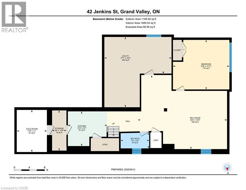 42 JENKINS Street