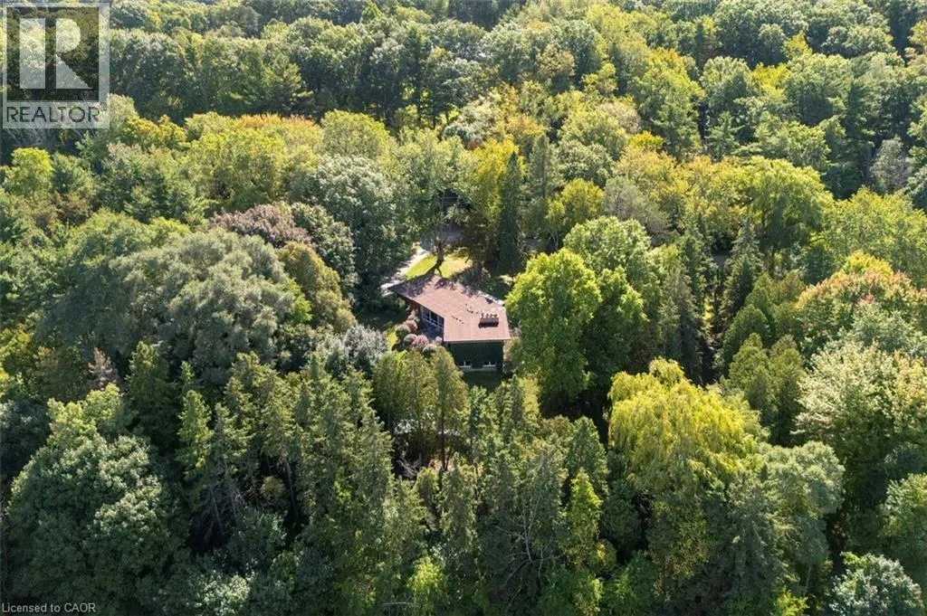 1441 MINERAL SPRINGS Road