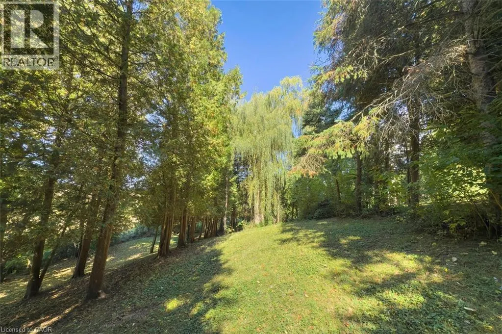 1441 MINERAL SPRINGS Road