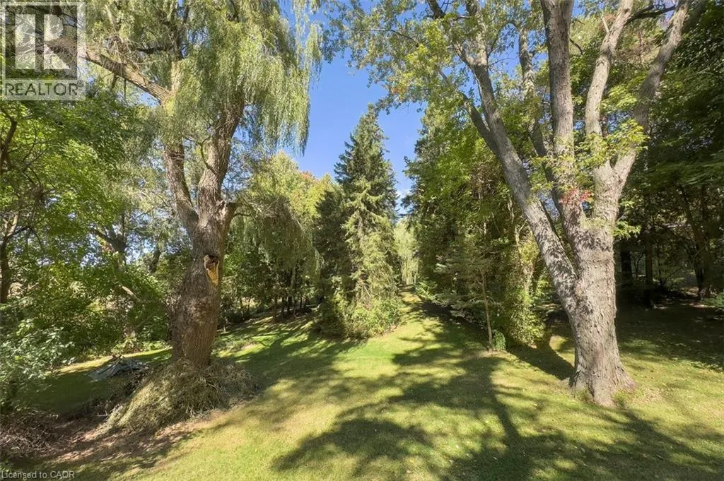 1441 MINERAL SPRINGS Road