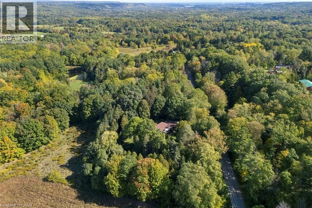 1441 MINERAL SPRINGS Road