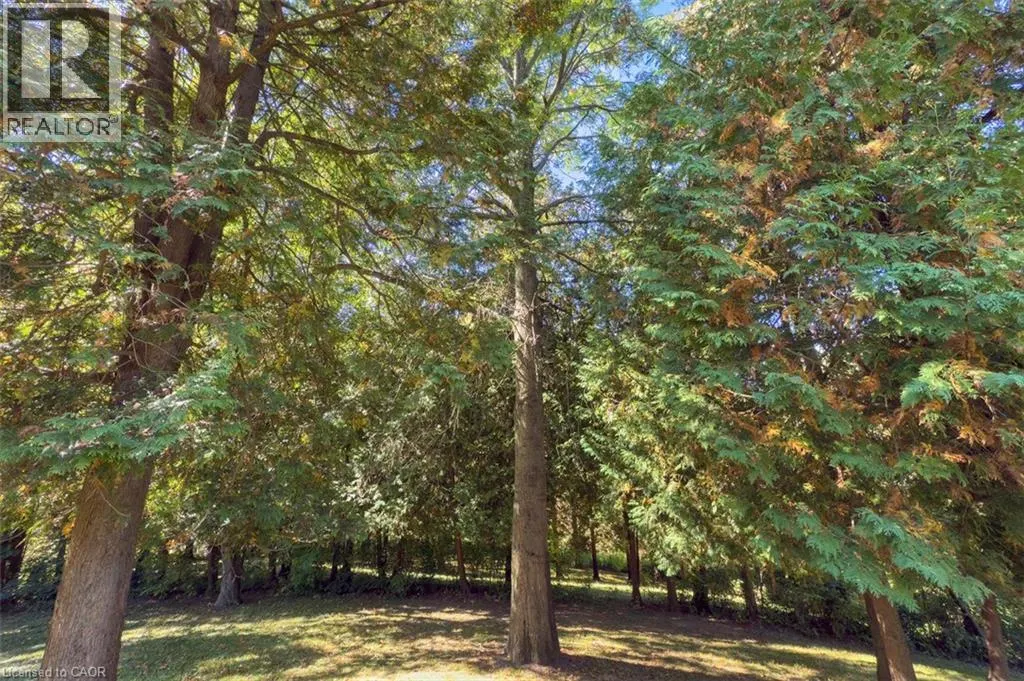 1441 MINERAL SPRINGS Road
