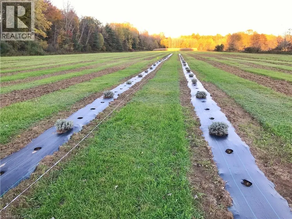 1938 TURKEY POINT Road