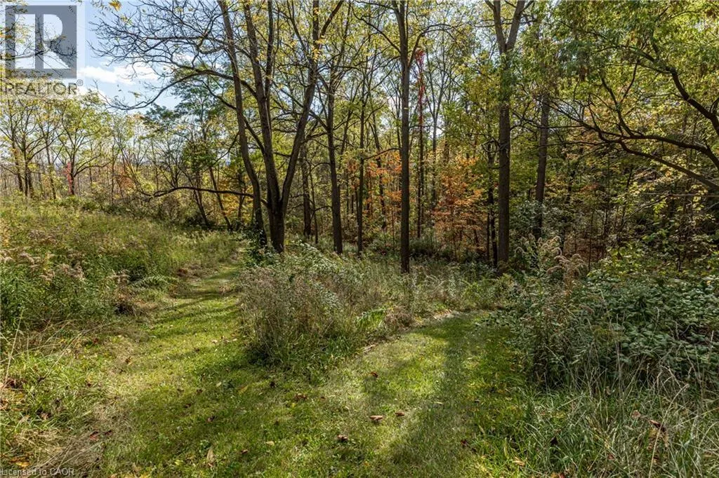 151 PATTERSON Road