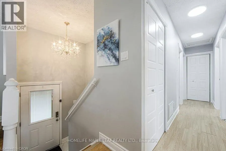689 MACYOUNG Drive