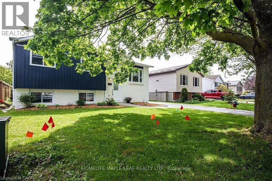 689 MACYOUNG Drive