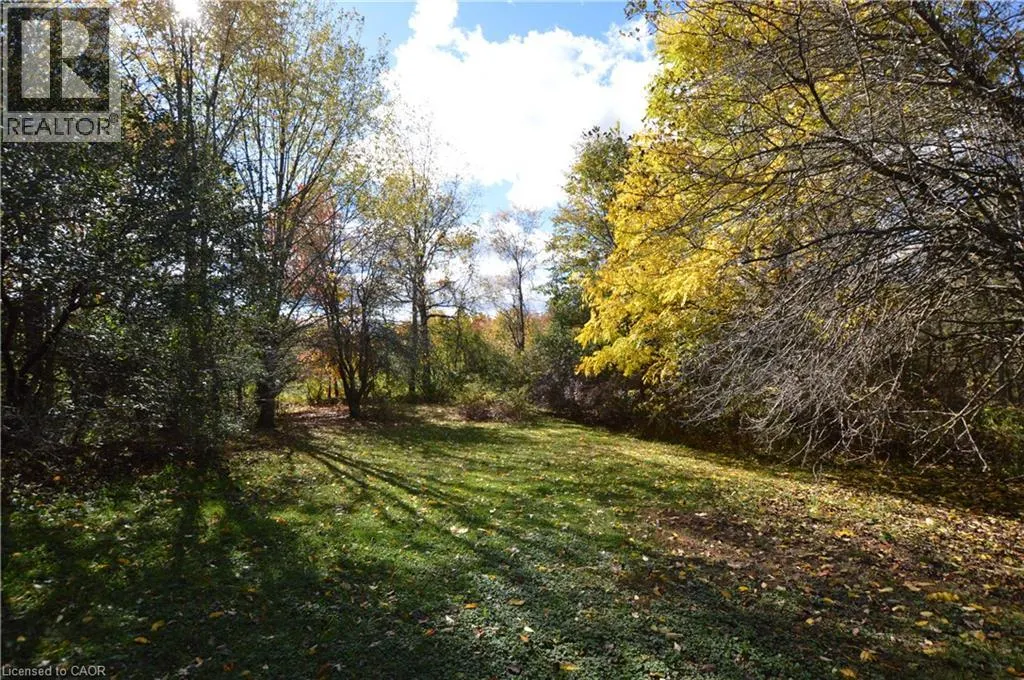 3400 CEDAR SPRINGS Road