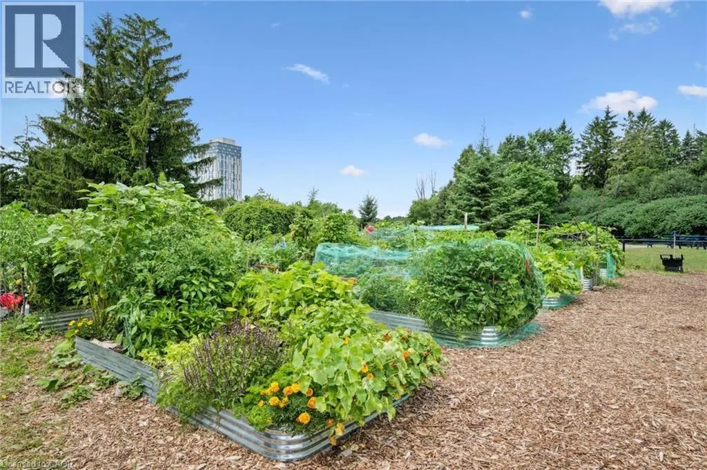 4 LISA Street Unit# 707, #707