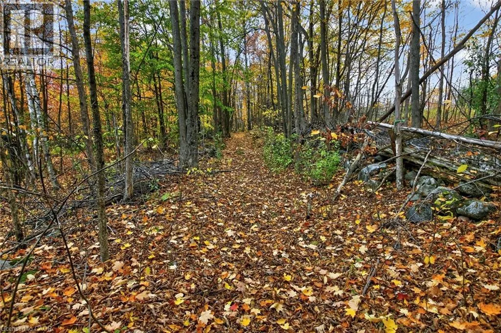 152B WANNAMAKER Road