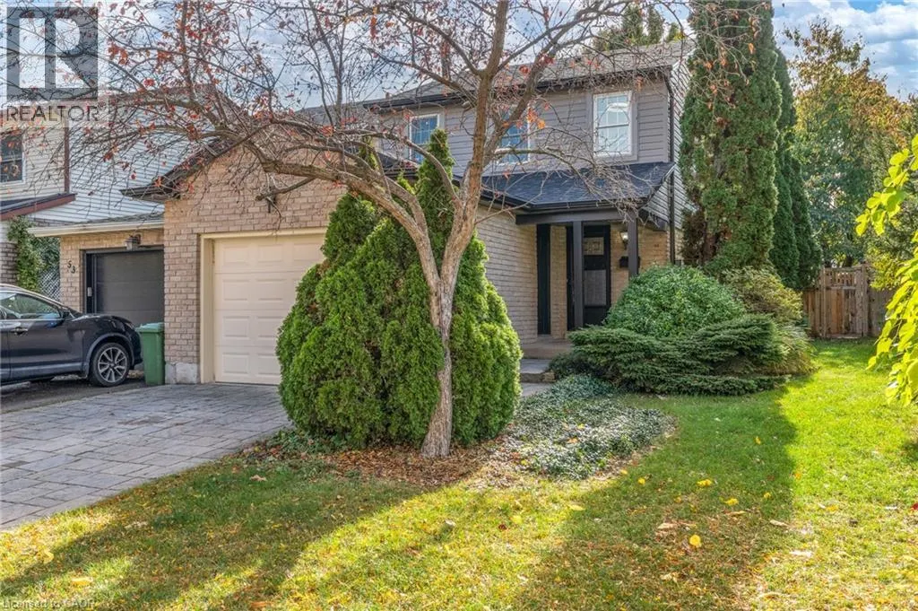 55 VENTURA Drive