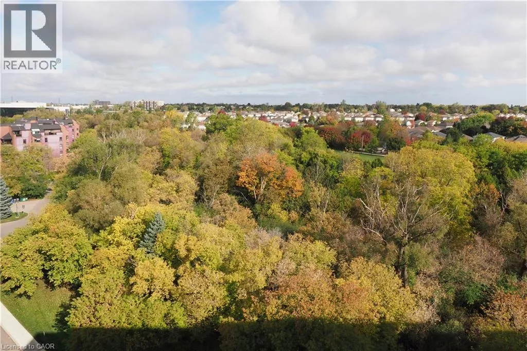 55 BLUE SPRINGS Drive Unit# PH12, #PH12