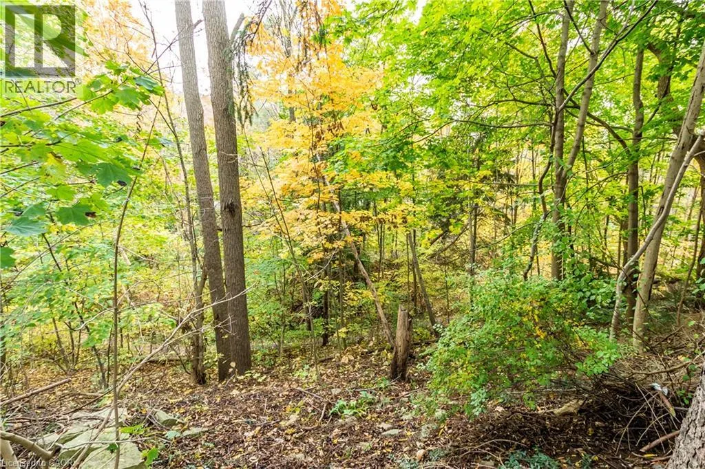 14 CLOVERHILL Avenue