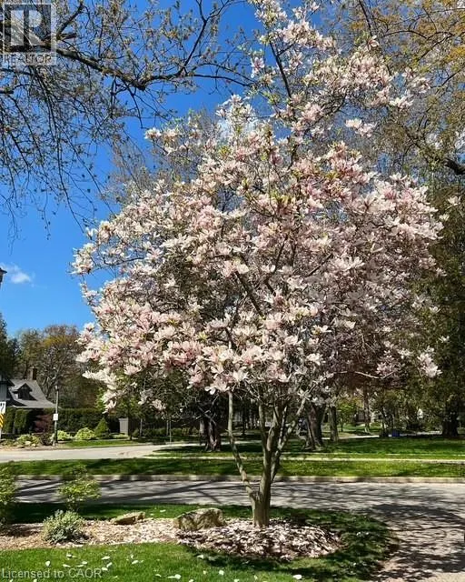 206 ROSSMORE Boulevard