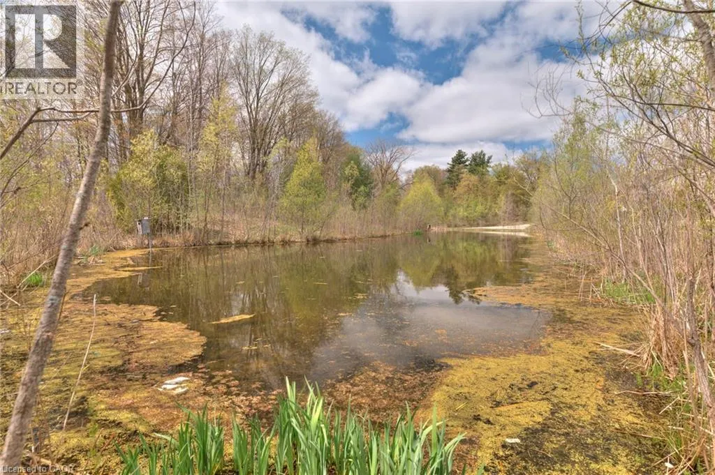 288 STEEPLERIDGE Street