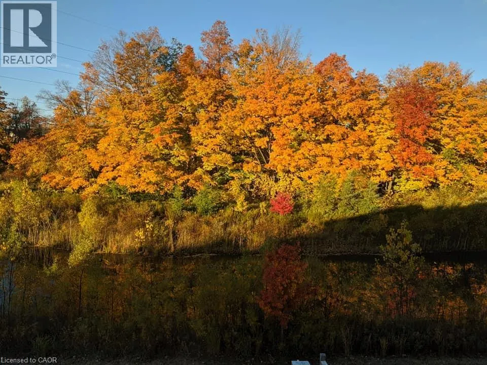 288 STEEPLERIDGE Street