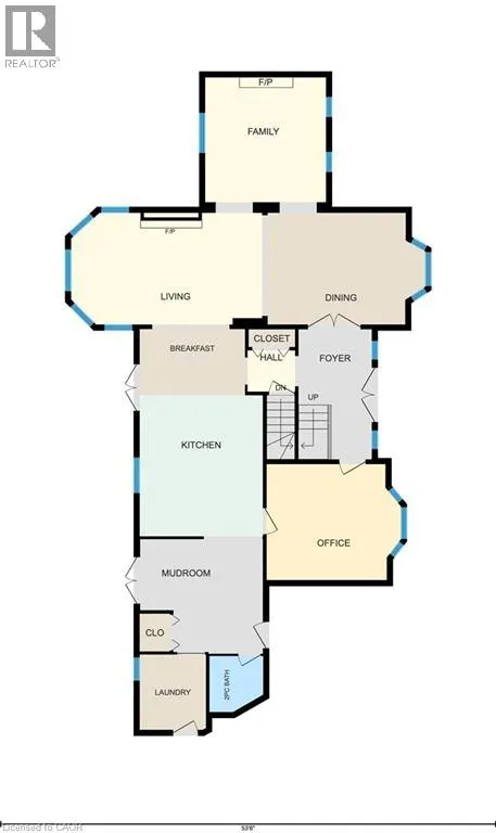 250 GREY SQUIRREL Place