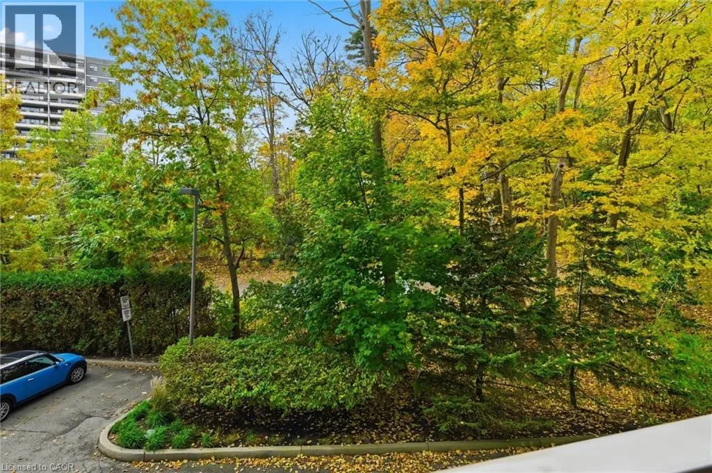 77 GOVERNORS Road Unit# 207, #207