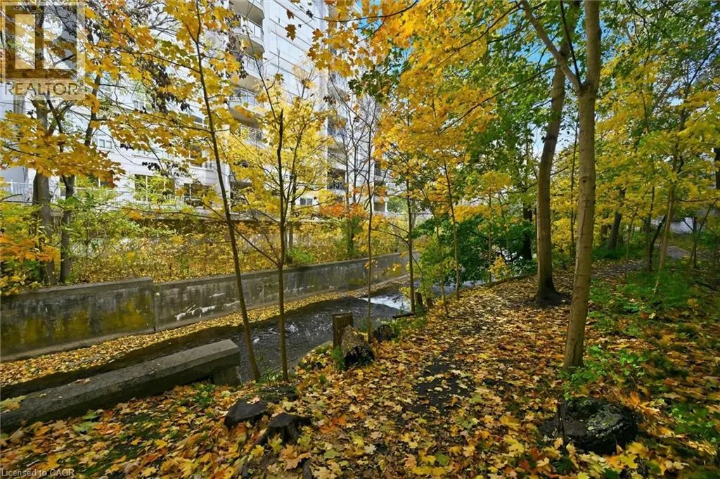 77 GOVERNORS Road Unit# 207, #207