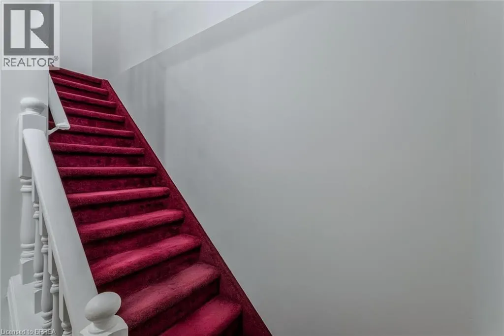 25 ANASTASIA Crescent