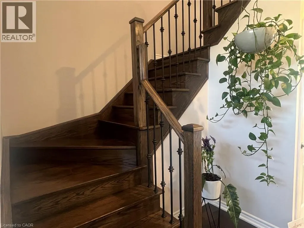 80 BELLROYAL Crescent