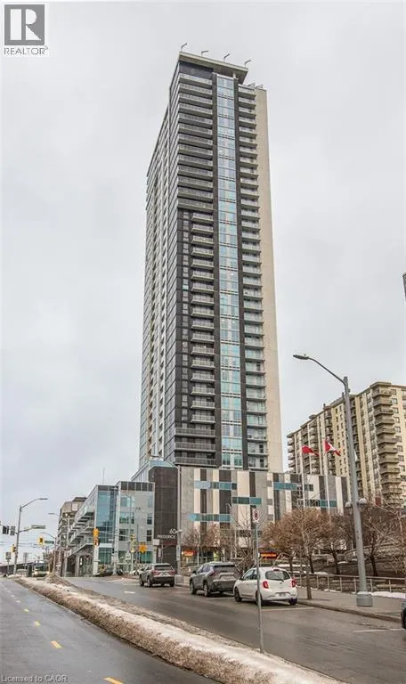 60 FREDERICK Street Unit# 3913 #3913