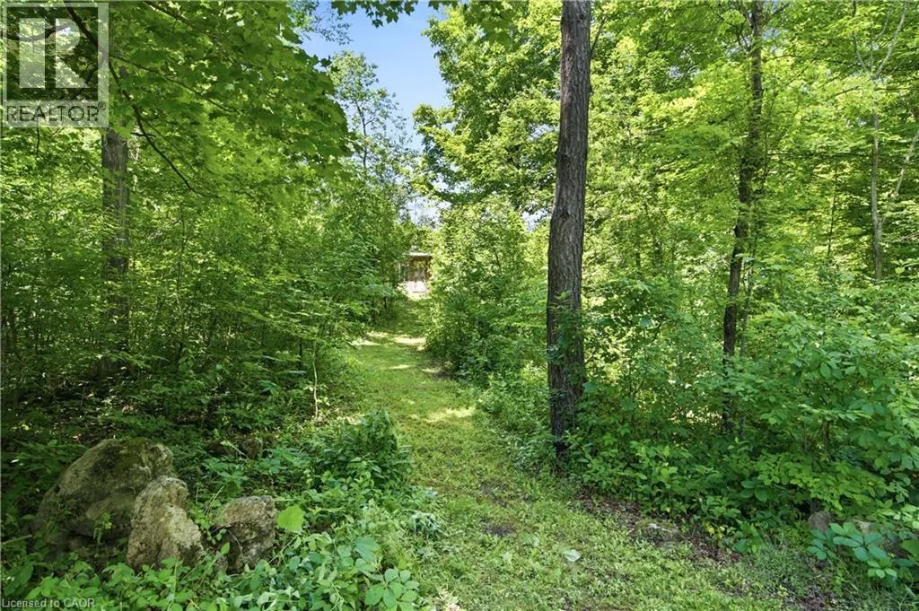 484 CONCESSION 11 Road E