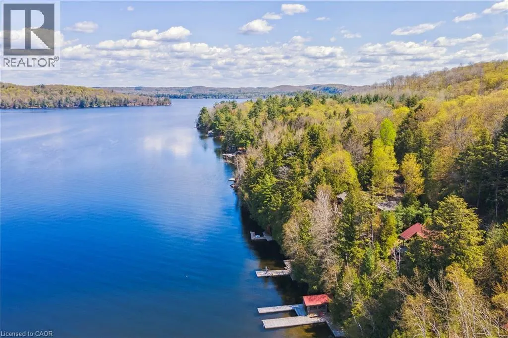 4209 MUSKOKA ROAD 117 Unit# 3 #3