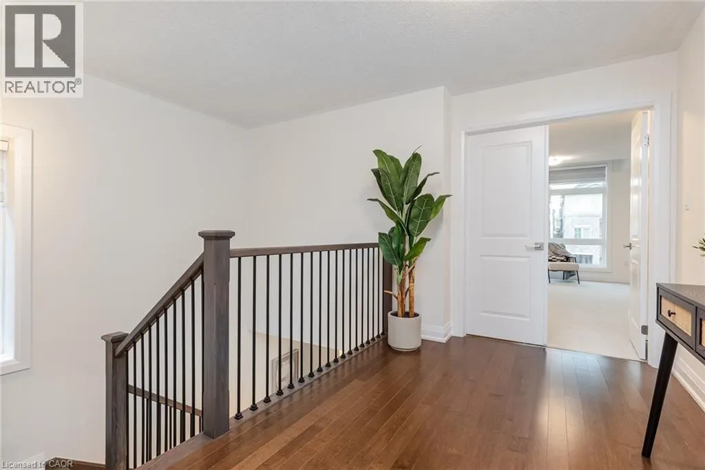 350 CANADA PLUM Street