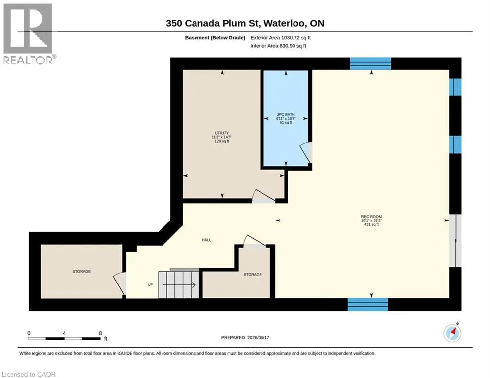 350 CANADA PLUM Street