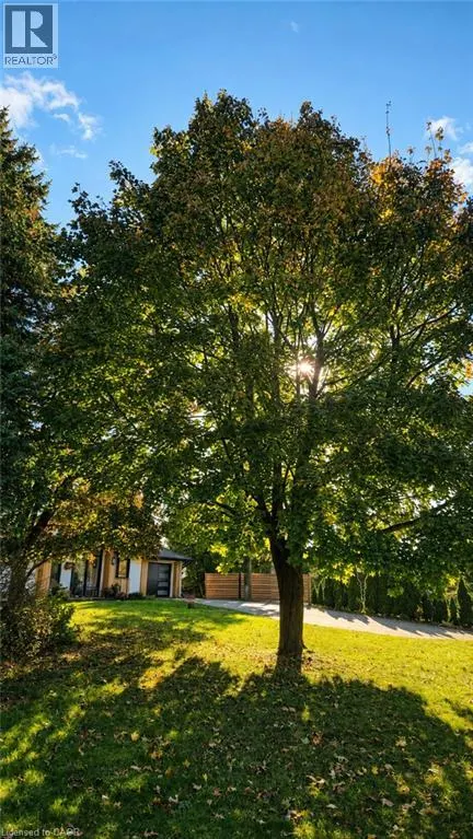 50 OAK Avenue