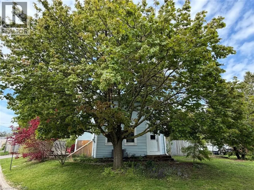 1 JOHN Avenue