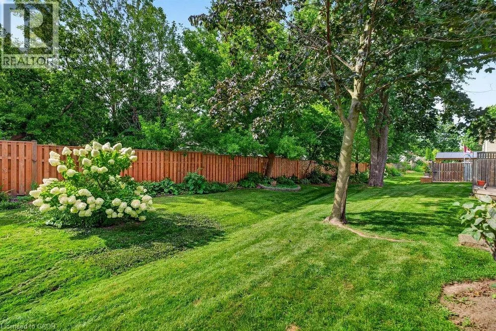 44 FRANCES Avenue Unit# 11 #11