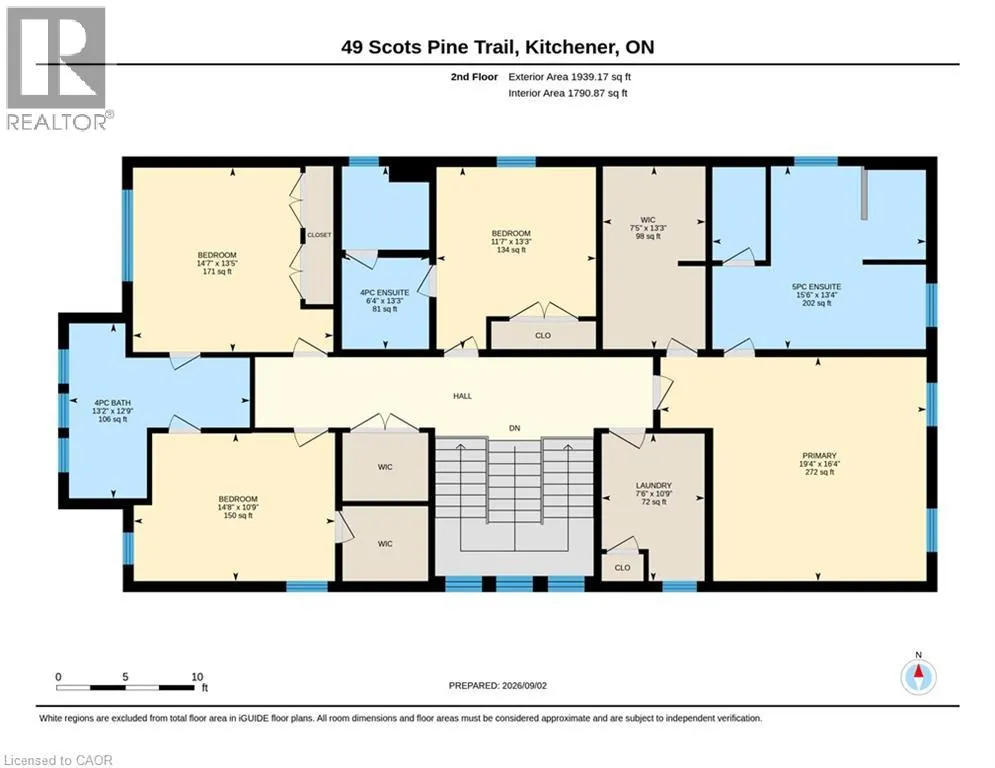 49 SCOTS PINE Trail