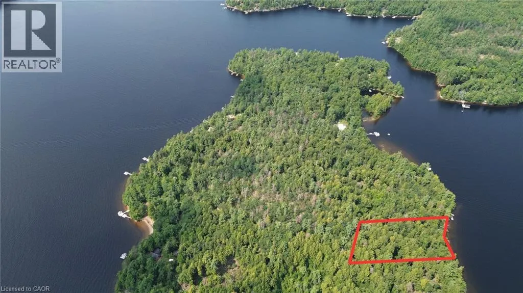 0 BLADE GOLD LAKE Island