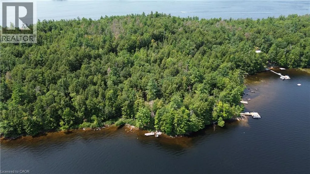 0 BLADE GOLD LAKE Island