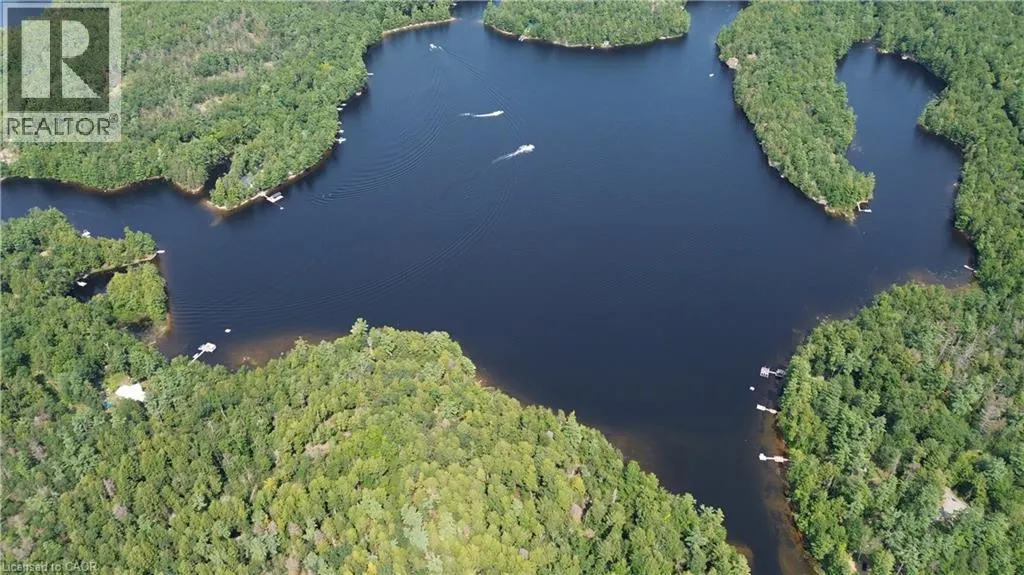 0 BLADE GOLD LAKE Island