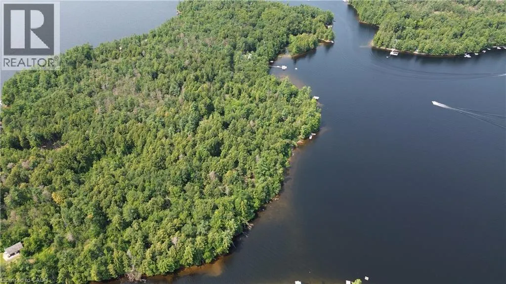 0 BLADE GOLD LAKE Island