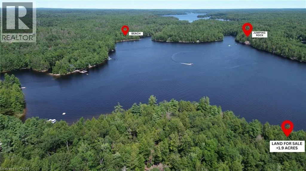 0 BLADE GOLD LAKE Island