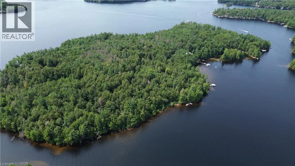 0 BLADE GOLD LAKE Island
