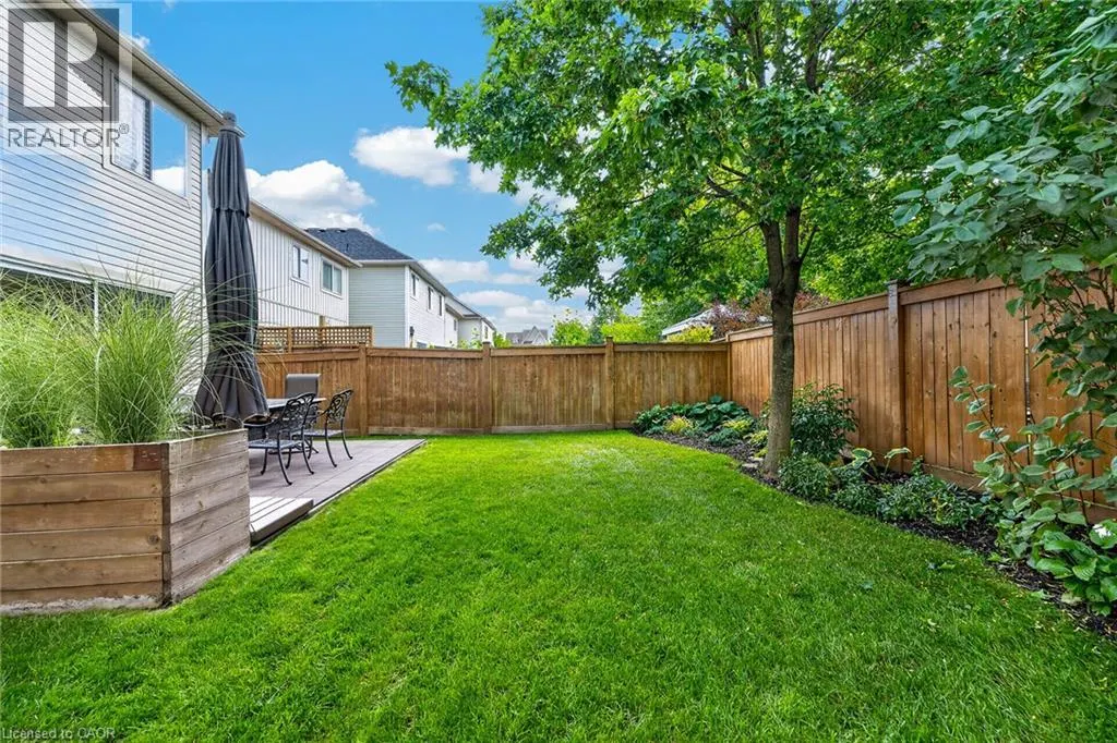 12 FIDDLEHEAD Crescent